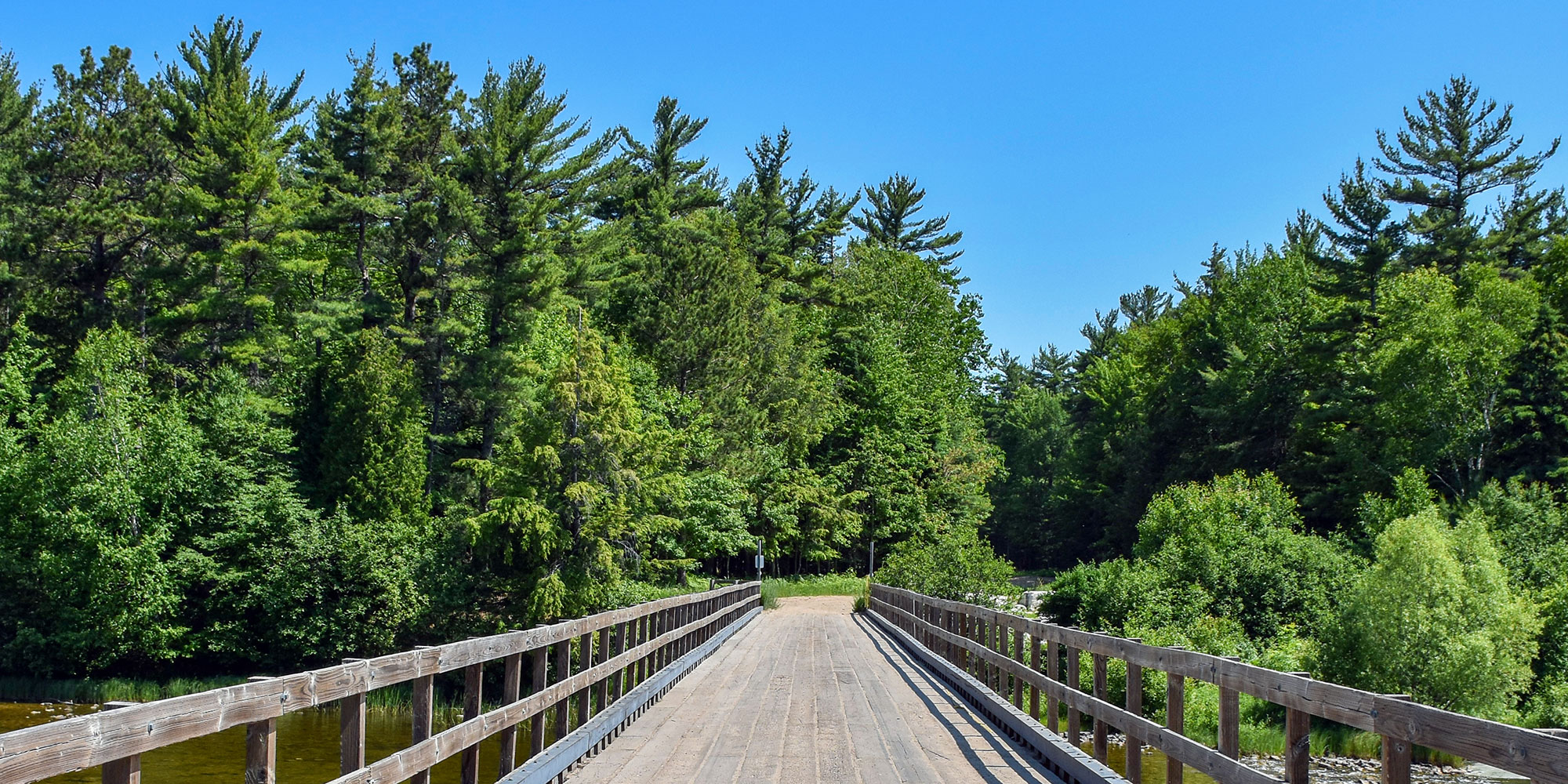 Haywire Grade Trail