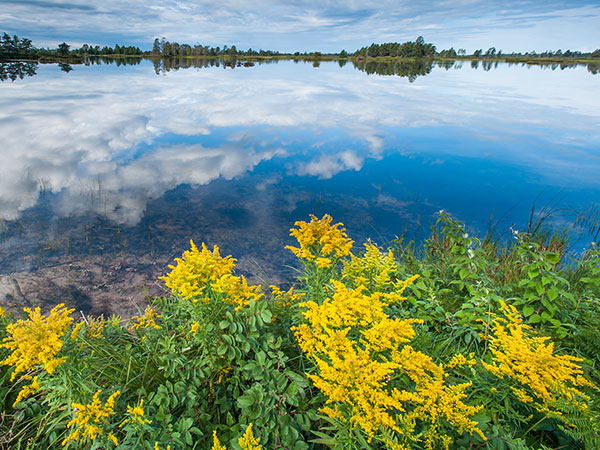 Seney Reflection photo credit Ed Post