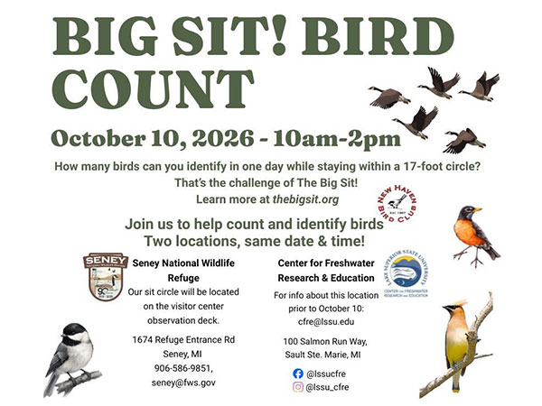 Big Sit