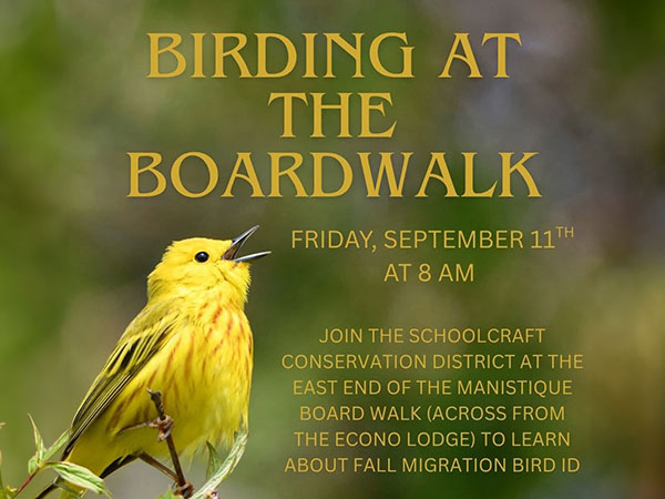 Birding at the Boardwalk