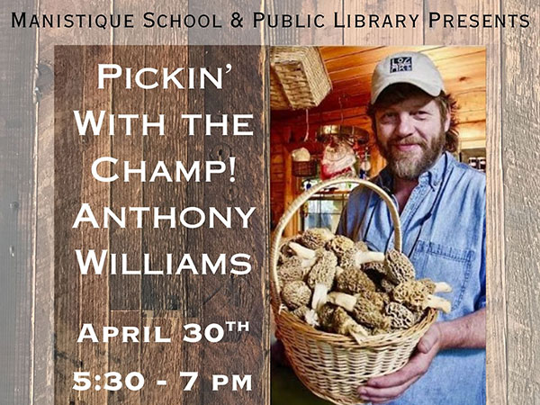 Morel Picking