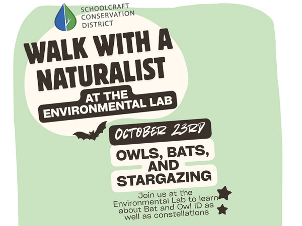 Owls Bats and Stargazing
