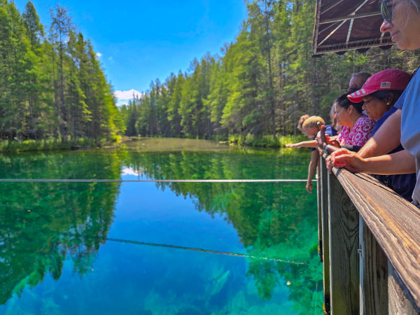 Category 12