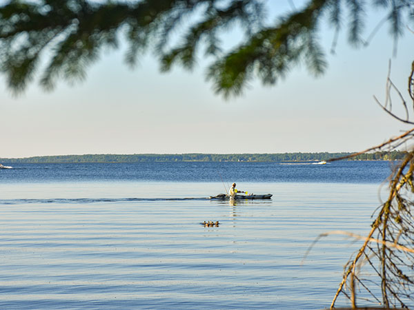 Manistique Newsletter July 2019