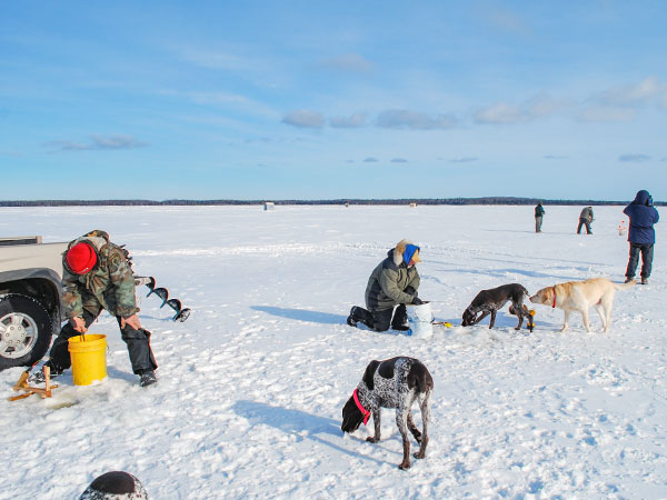 Manistique Newsletter Feb 2021