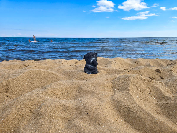 Manistique Newsletter August 2026