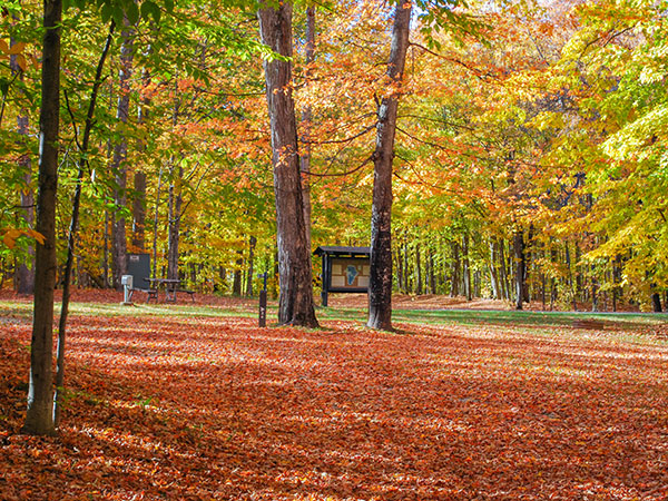 Manistique Newsletter October 2026