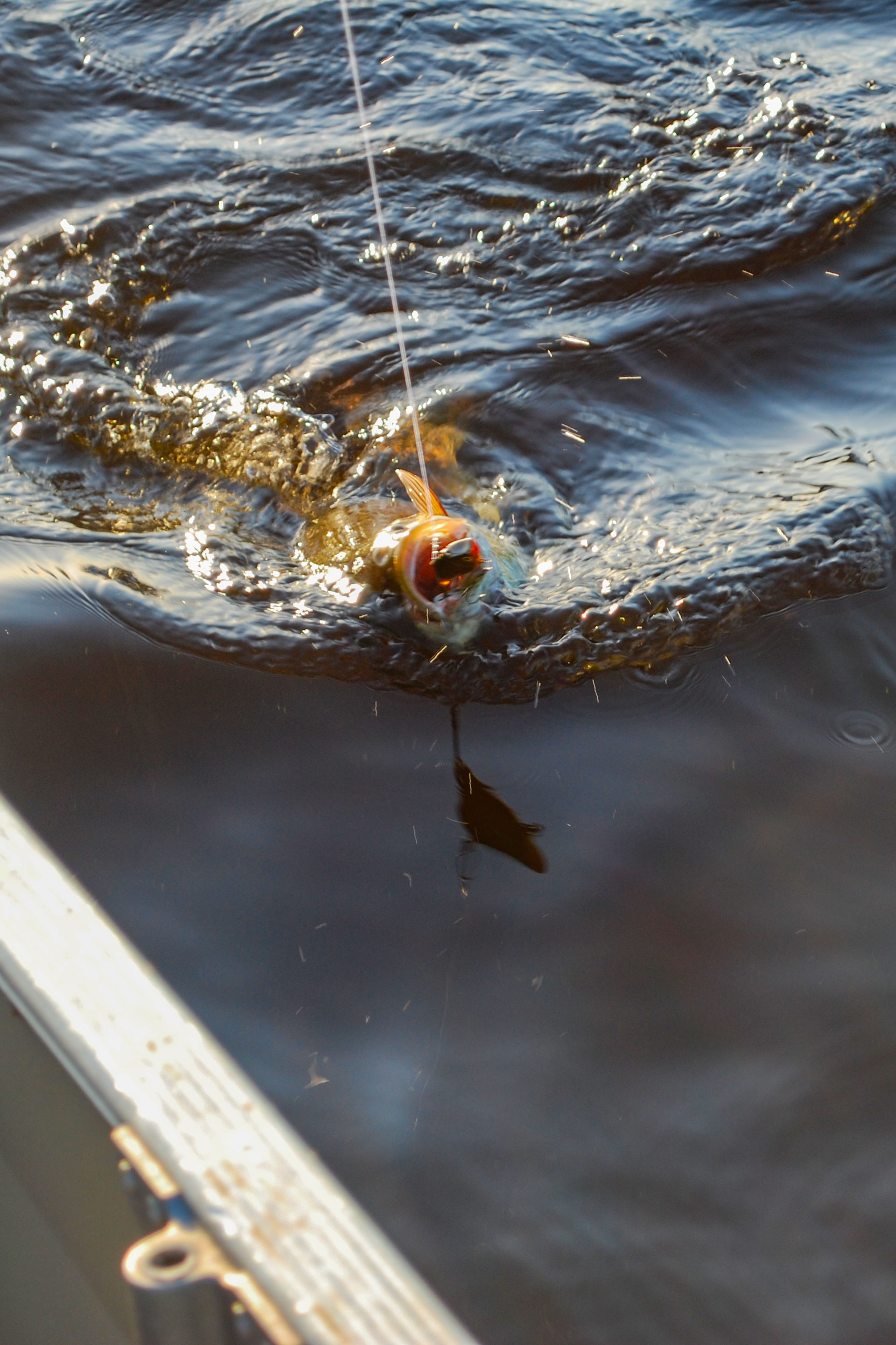 Manistique Fishing