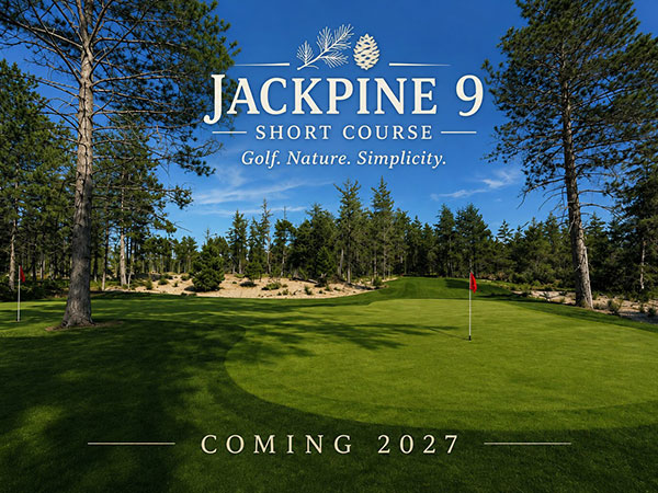 jackpine 9