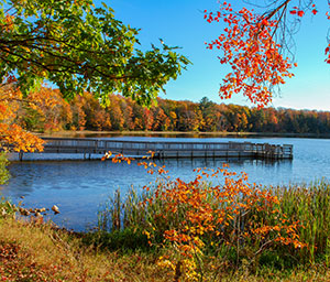 Colwell Lake Gallery
