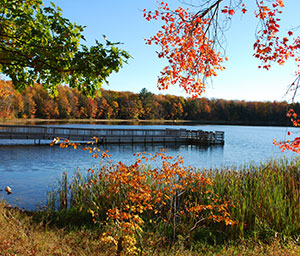 Colwell Lake Pathway