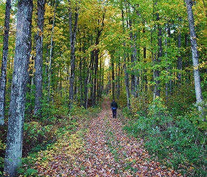 Indian Lake State Park