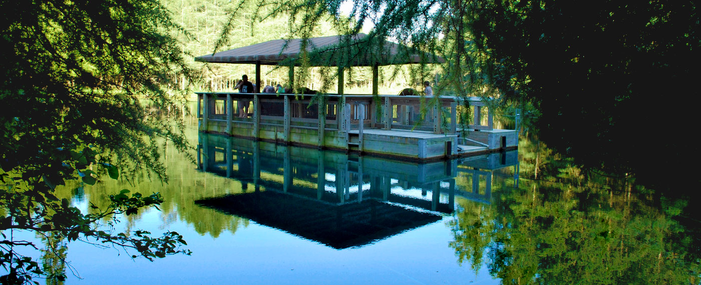 The Big Spring