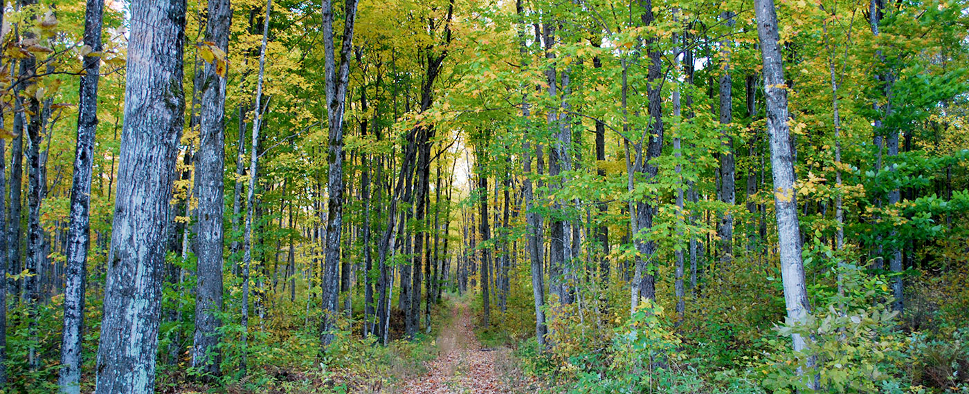 Indian Lake Trail