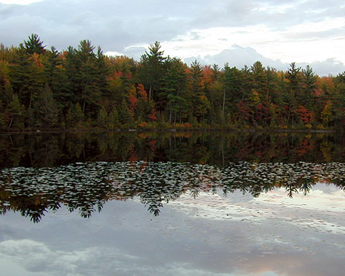 Ashford Lake Pathway